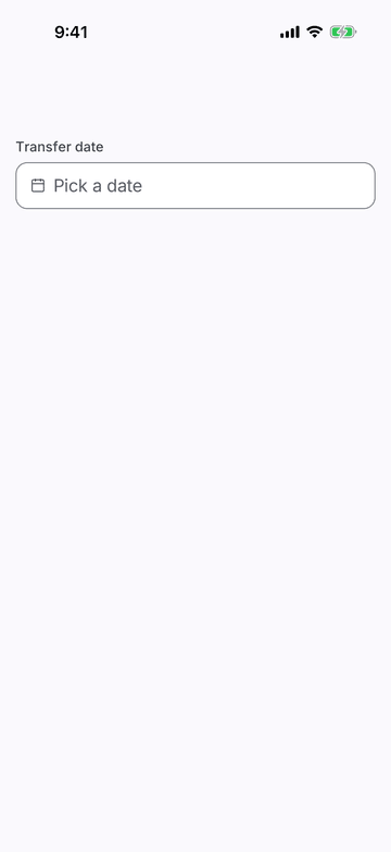 Date Time Field on iPhone (iOS simulator)